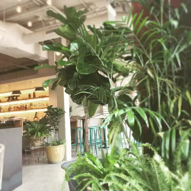 Alma Cocina Latina