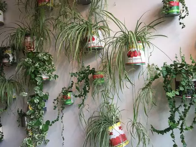 Alma Cocina Latina