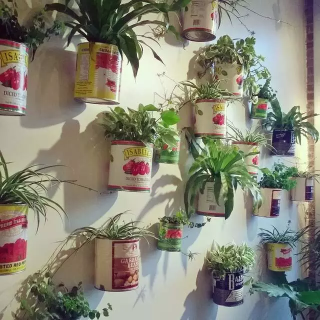 Alma Cocina Latina