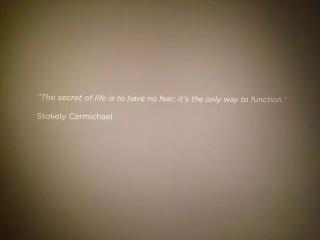Reginald F Lewis Museum