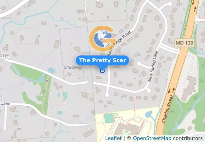 The Pretty Scar