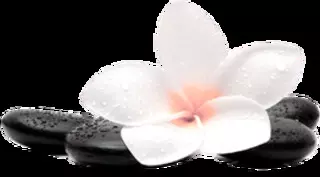 Inspire Nail Bar & Spa