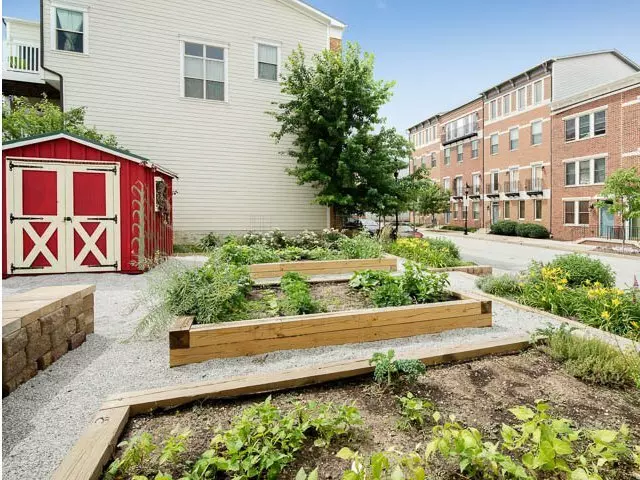 Albemarle Square Apartments