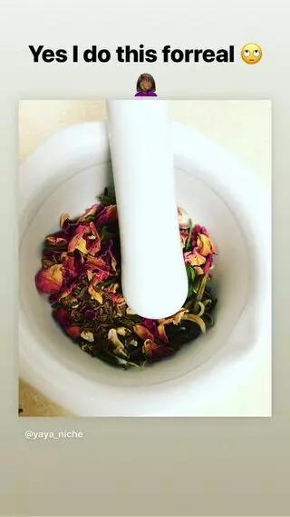 Nature & Herbs