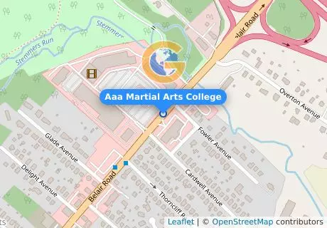Aaa Martial Arts College