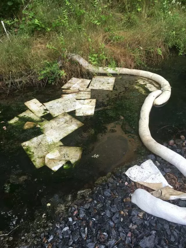 Ace Environmental Holdings