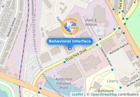 Behavioral Interface