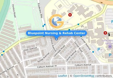 Bluepoint Nursing & Rehab Center
