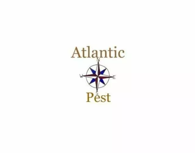 Atlantic Pest