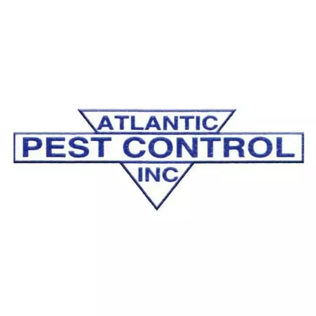 Atlantic Pest