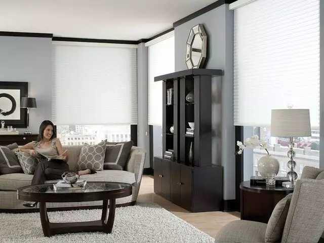 3 Day Blinds - Shop-At-Home Services