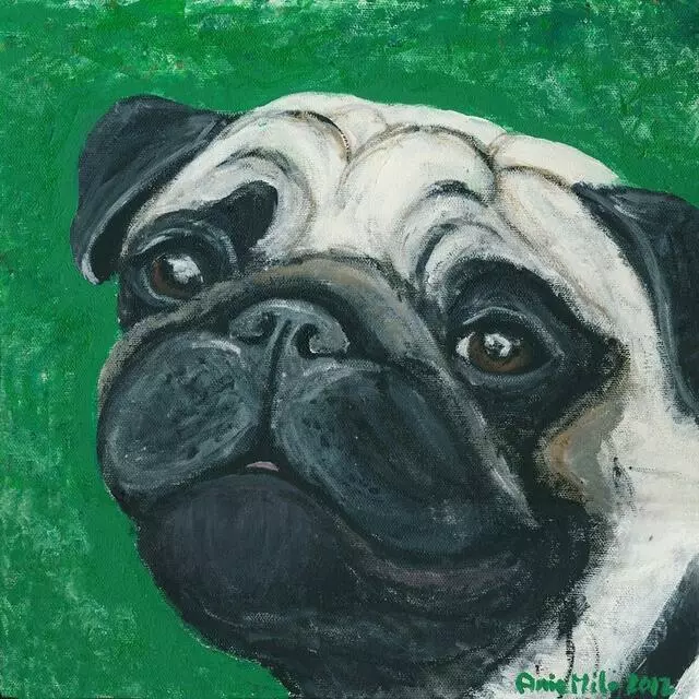 Ania Milo Fine Art & Pet Portraits