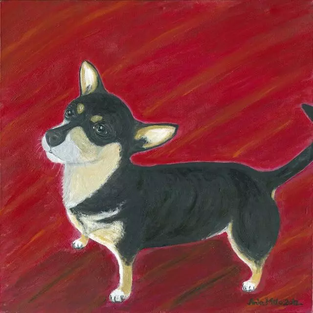 Ania Milo Fine Art & Pet Portraits