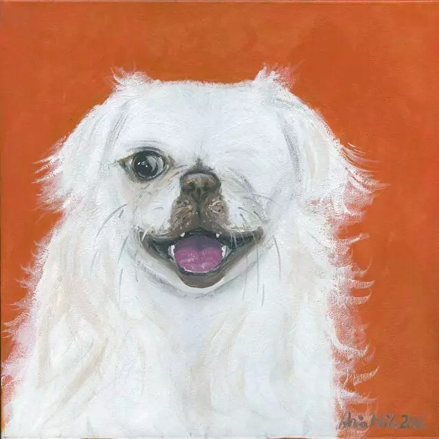 Ania Milo Fine Art & Pet Portraits