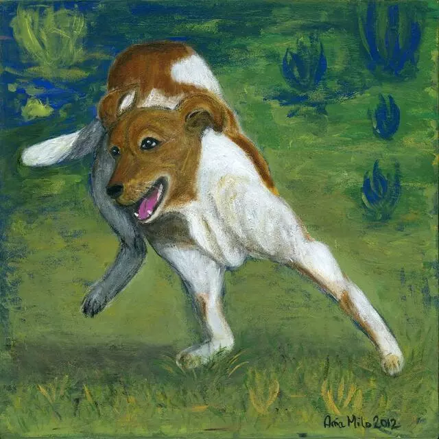 Ania Milo Fine Art & Pet Portraits