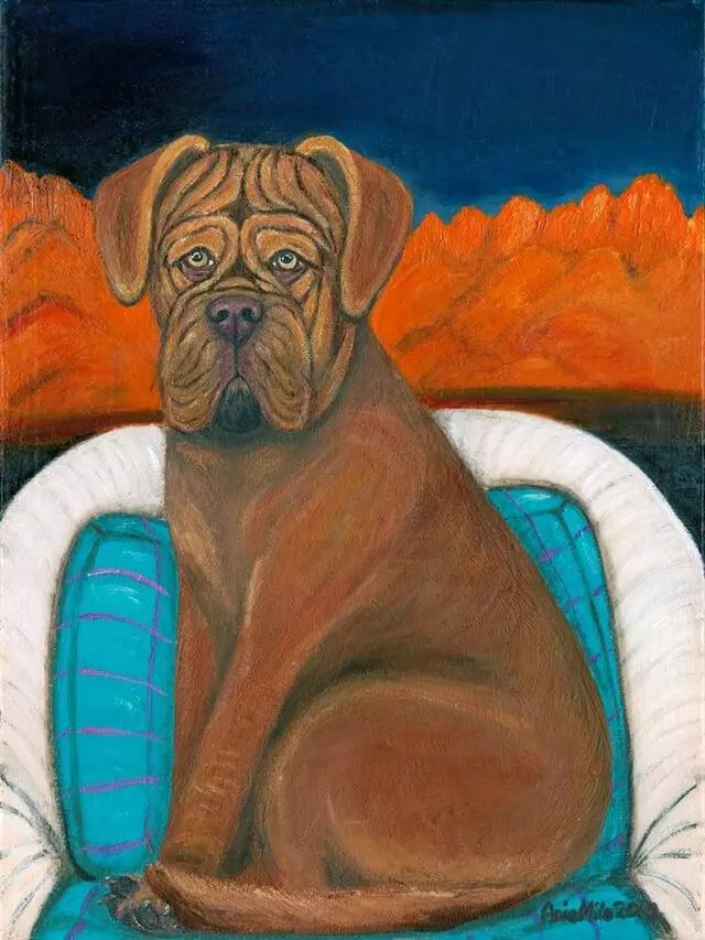 Ania Milo Fine Art & Pet Portraits