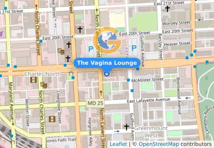 The Vagina Lounge
