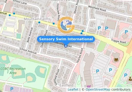 Sensory Swim International