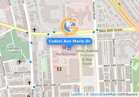 Codori Ann Marie Dr