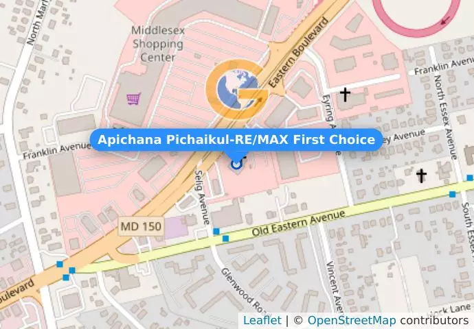 Apichana Pichaikul-RE/MAX First Choice