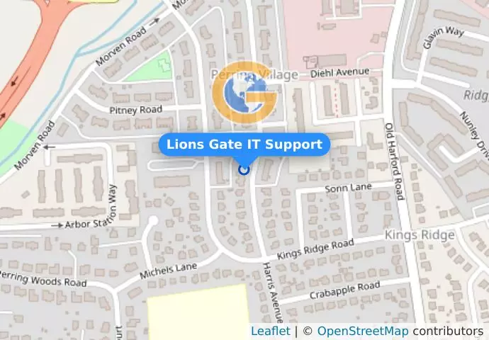 Lions Gate IT Support
