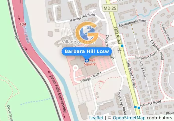 Barbara Hill Lcsw