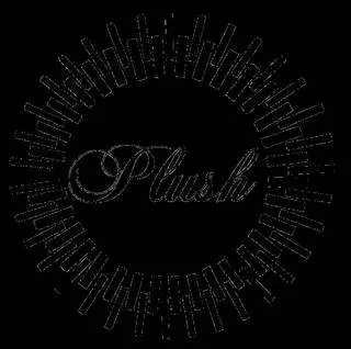 Plush Hair Salon & Spa