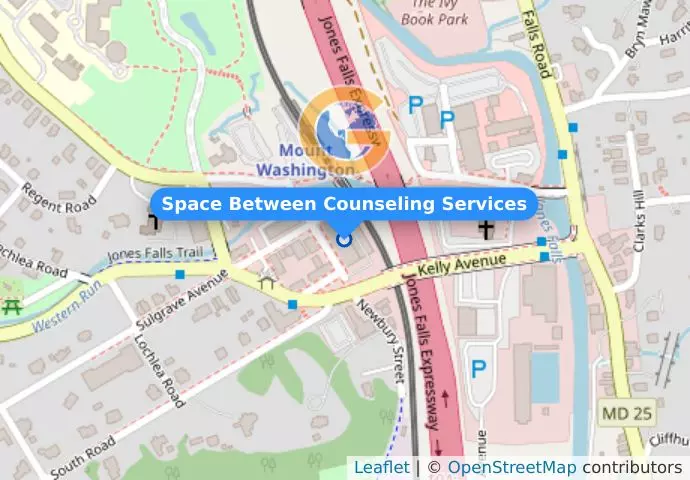 Space Between Counseling Services