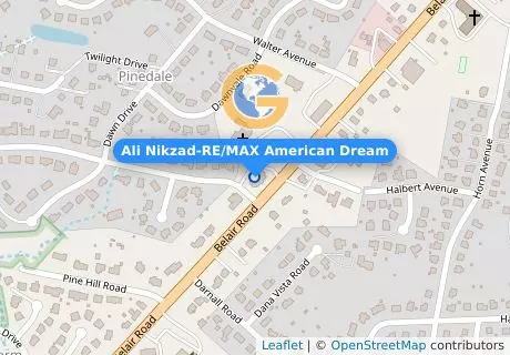 Ali Nikzad-RE/MAX American Dream