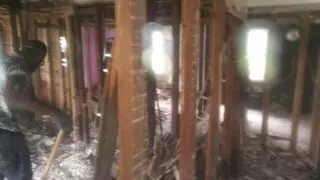 Shubie Doo Demo