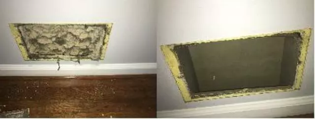 Air Duct Pros