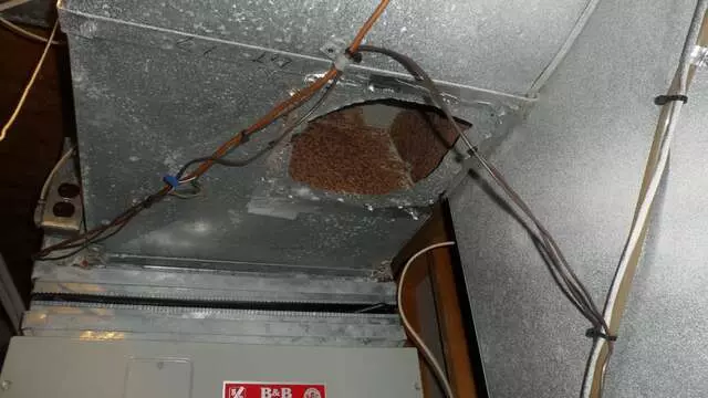 Air Duct Pros